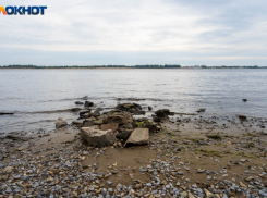 Более 13 миллионов осетров и амура выпустили в волгоградские реки 