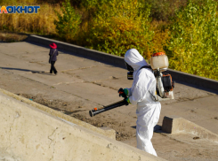 Волгоградцам доложили об уровне радиации 