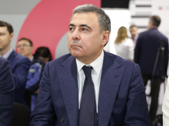 Идеолог волгоградских Мальдив хочет пересадить земляков на электрокары