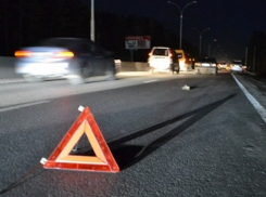 Под колеса автомобилей в Волгоградской области попали дедушка и девушка