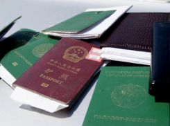 На полях под Волгоградом обнаружили 37 узбеков-нелегалов