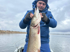 Волгоградец выловил рыбу-гиганта 