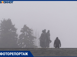 Туманная катастрофа: что творится в лишенном на сутки видимости Волгограде