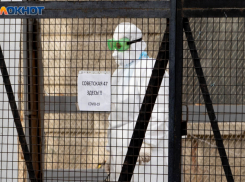 Жители Волгоградской области назвали «беспроглядной» ситуацию с коронавирусом в регионе