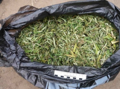 Под Волгоградом мужчина хранил в огороде 6,5 тысяч доз наркотиков