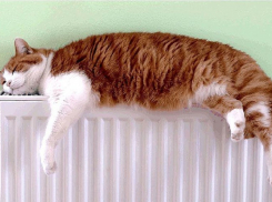 В центре Волгограда из-за очередной аварии без тепла остались почти 100 домов