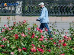 Волгоградцы не сомневаются, что коронавирус по-прежнему опасен
