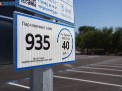 Депутат облдумы озаботился экономией для волгоградцев с двумя и более машинами