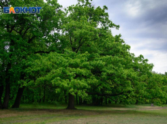 Похолодание ожидается ночью на территории Волгоградской области