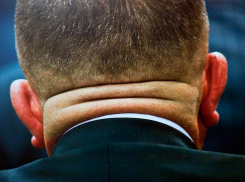 Пять малоизвестных фактов о кандидатах в губернаторы Волгоградской области