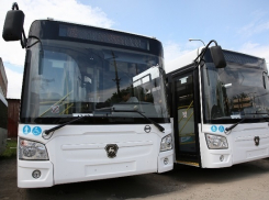 Схема автобусного маршрута  №43 изменится с 1 сентября  в Волгограде