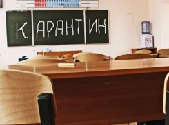 Карантин по гриппу объявлен в некоторых школьных классах Волгограда