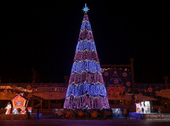 Мэрия Волгограда потратит на новогоднюю елку почти 3 миллиона рублей