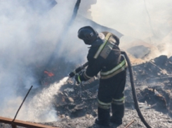 При пожаре в доме на юге Волгограда заживо сгорели два человека 