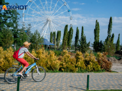 В международный День прогулки в Волгоградской области ожидаются кратковременные дожди
