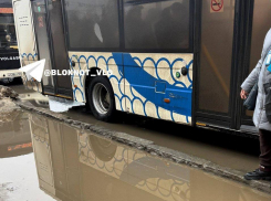 Не Волгоград, а Венециград: город переживает последствия весенней оттепели