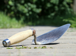 Руководство только 16% строительных фирм оценивает ситуацию в регионе как «благоприятную»