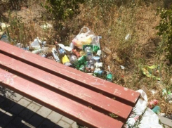 Волгоградцы возмущены мусором в парке Баку