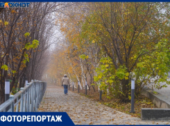 Как из Волгограда уходит аномально теплая осень 2025: смотрим на фото