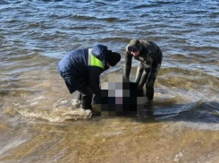 Тело 29-летнего подняли из ледяной воды 8 марта под Волгоградом