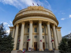 Изгнанная из волгоградской филармонии юрист хочет возглавить профсоюз