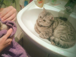 Горячую воду отключат в трех районах Волгограда с 8-9 августа 