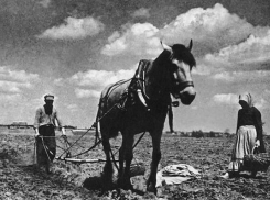 Календарь: 14 августа 1959 г – сформирована Волгоградская область в ее нынешнем виде