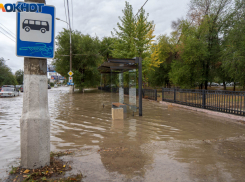 С 10 апреля в Волгограде запустят 12 дачных автобусов