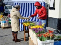 В Волгограде началась проверка всех цветочных магазинов