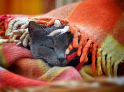 Погода с пронизывающим ветром и заморозками до -3°С закрепилась в Волгоградской области