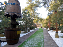 В Волгограде заседание по делу «Соснового бора» перенесли на 29 мая