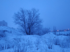 Снег с дождем и туман в начале рабочей недели обещают синоптики волгоградцам