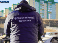 Волгоградец истязал два года сына и дочь