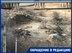 Все великолепие у нас вырубают, - житель Центрального района Волгограда