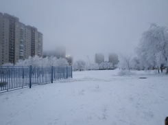 Середина января встретит волгоградцев потеплением и мокрым снегом
