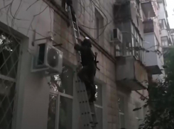 44 тысячи бутылок поддельного элитного алкоголя изъяли в Волгоградской области