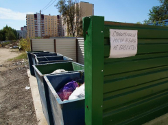 Над повышением тарифов на вывоз мусора задумались в Волгоградской области