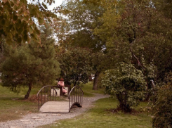 В Комсомольском саду в Волгограде появится арка для выездных регистраций