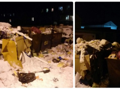 Волгоградцы нашли УК, которая вывозит мусор раз в несколько месяцев