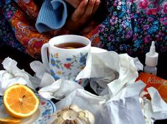 Волгоградцы предпочитают предотвращать эпидемию гриппа луком и чесноком