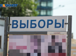 Волгоградский воспитатель рассказала об изнанке праймериз: устали от принудиловки