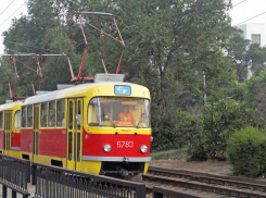 Главным по трамваям в Волгограде стал выпускник ВолГУ