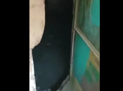 Фекальный потоп в подвале пятиэтажки в Волгограде прокомментировали «Концессии»