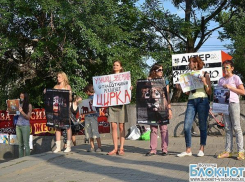 В Волгограде прошел «тихий» митинг в защиту животных