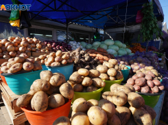 Назван топ-5 самых подешевевших продуктов в Волгоградской области