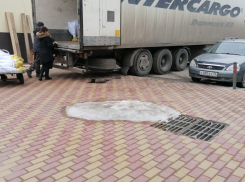 Подорожавшие цветы везут фурами в Волгоград к 8 Марта