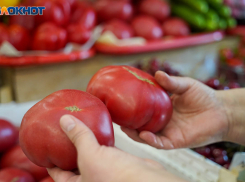 Фермер назвал причину завышенных цен на овощи в Волгограде