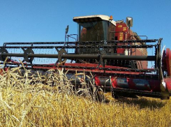 Волгоградские чиновники просят Госдуму разрешить им отбирать землю у крестьян