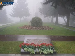 Дождливую и туманную погоду обещают синоптики в Волгоградской области