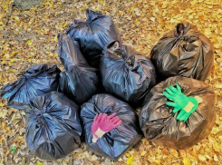 Молодая пара волгоградцев не выдержала и прибралась в лесу у затона